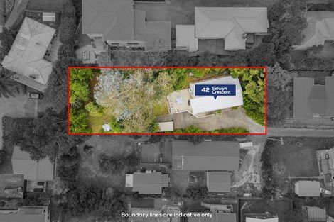Photo of property in 42 Selwyn Crescent, Forrest Hill, Auckland, 0620