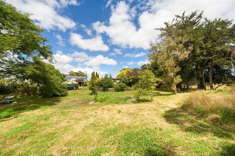 Photo of property in 40 Milne Street, Marton, 4710