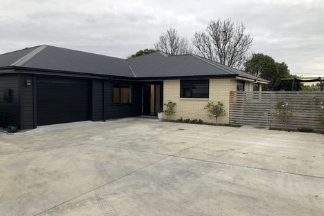 Photo of property in 42a Pharazyn Street, Feilding, 4702