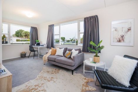 Photo of property in 49 Pitama Road, Awapuni, Palmerston North, 4412