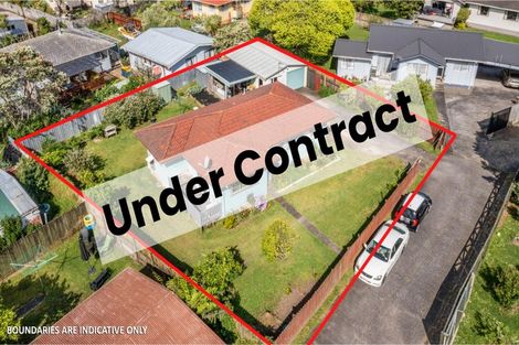 Photo of property in 12 Hinerau Street, Henderson, Auckland, 0612