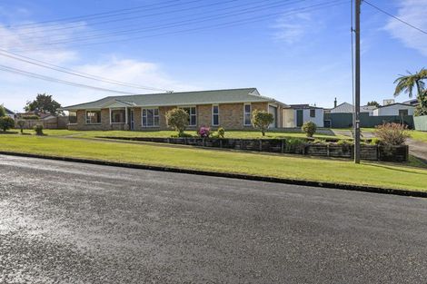 Photo of property in 51 Pembroke Road, Stratford, 4332