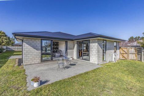 Photo of property in 43 Masefield Drive, Rolleston, 7614