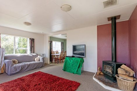 Photo of property in 21 Holt Place, Waipukurau, 4200