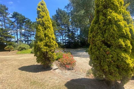 Photo of property in 906 State Highway 1, Himatangi, Foxton, 4891