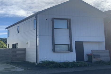 Photo of property in 19 Ron Deal Way, Epuni, Lower Hutt, 5011