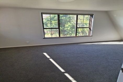 Photo of property in 19 Mcauley Road, Portobello, Dunedin, 9014