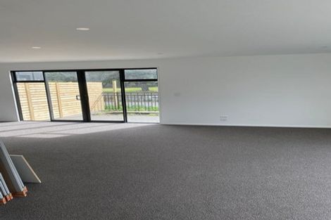 Photo of property in 19 Rawhiti Avenue, Palmerston North, 4410