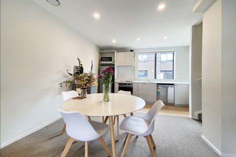 Photo of property in Aniva Terrace, 14 Ferguson Street, Newtown, Wellington, 6021