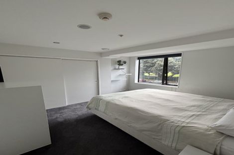 Photo of property in Nouvo Apartments, 2b/21 Rugby Street, Mount Cook, Wellington, 6021