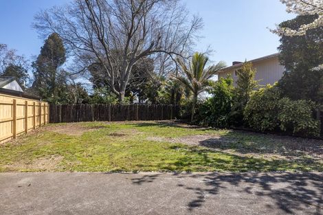 Photo of property in 22a Clark Street, Levin, 5510