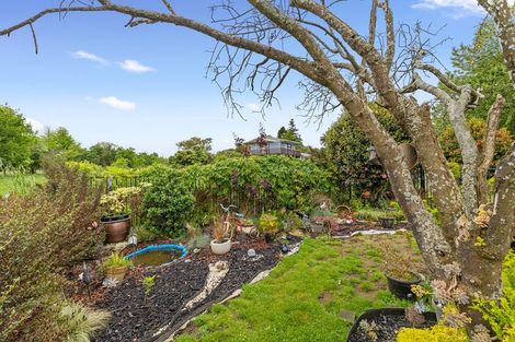 Photo of property in 3 Ruakaka Avenue, Te Aroha, 3320