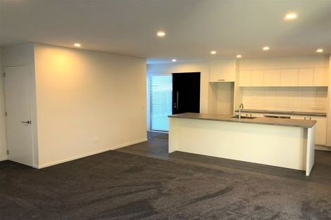 Photo of property in 49 Olliviers Road, Phillipstown, Christchurch, 8011