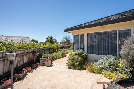 Photo of property in 20 Rochfort Drive, Richmond, 7020