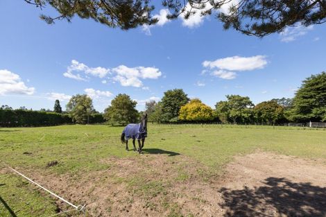Photo of property in 1280 Omanawa Road, Omanawa, Tauranga, 3171