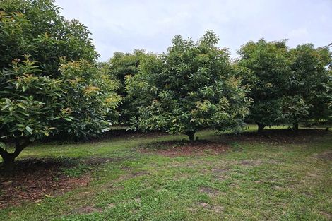 Photo of property in 400 Te Matai Road, Te Puke, 3188