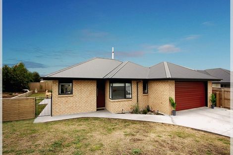 Photo of property in 20 Snappers Lane, Foxton Beach, Foxton, 4815