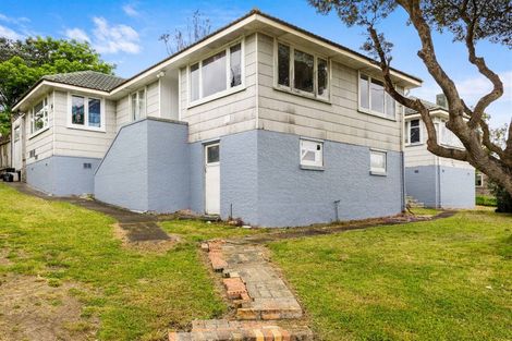 Photo of property in 25 Hutchinson Avenue, New Lynn, Auckland, 0600