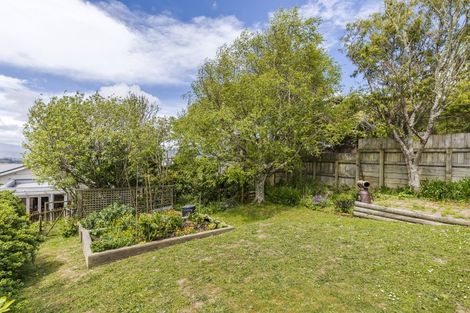 Photo of property in 17 Mitchell Street, Brooklyn, Wellington, 6021