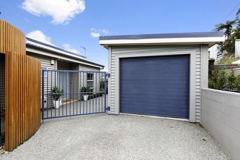 Photo of property in 23a Waikato Street, Island Bay, Wellington, 6023