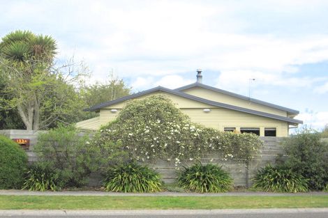 Photo of property in 183 Tamamutu Street, Taupo, 3330