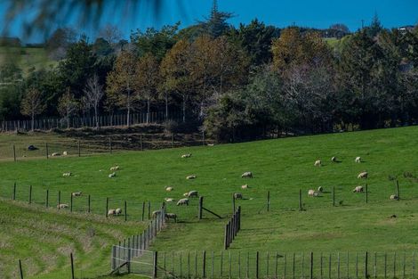 Photo of property in 81a Pukekohe East Road, Pukekohe, 2677