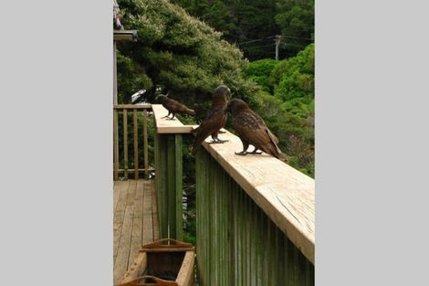 Photo of property in 10 Mairangi Road, Wadestown, Wellington, 6012