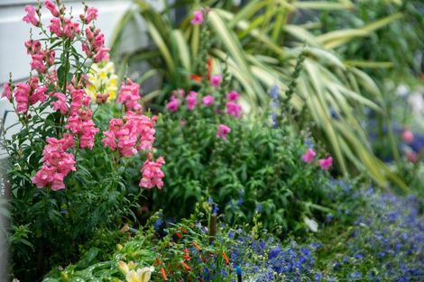 Photo of property in 12 Emmett Street, Newtown, Wellington, 6021