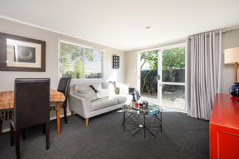 Photo of property in 101a Limbrick Street, Terrace End, Palmerston North, 4410