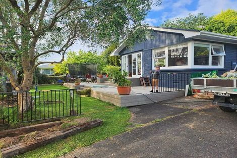 Photo of property in 15 Freemont Street, Chartwell, Hamilton, 3210