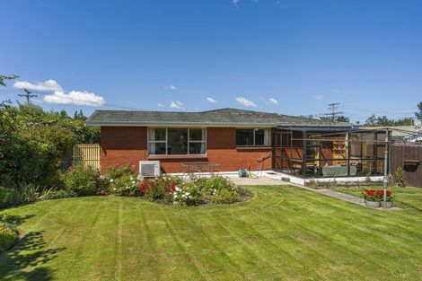 Photo of property in 14 Queen Street, Milton, 9220