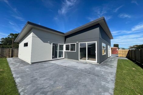 Photo of property in 86a Totara Street, Tawhero, Wanganui, 4501