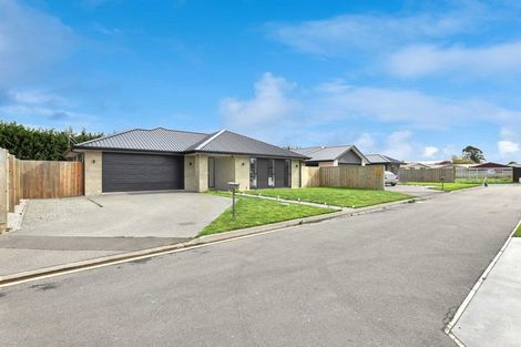 Photo of property in 58a Ashbury Drive, Tinwald, Ashburton, 7700
