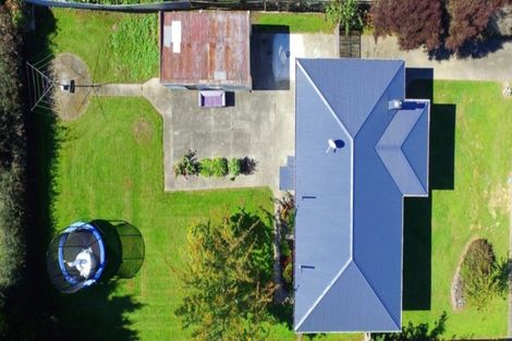 Photo of property in 32 Elizabeth Street, Levin, 5510