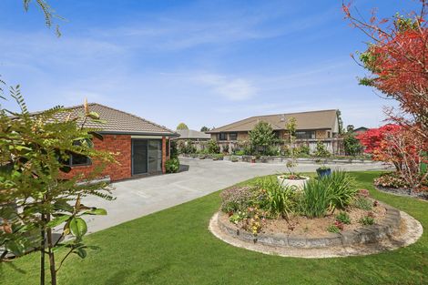 Photo of property in 229 Raeburne Street, Te Awamutu, 3800