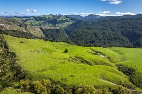 Photo of property in 888 Kakariki Farm Road, Kotemaori, 4188