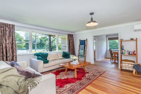 Photo of property in 17 Hobson Street, Levin, 5510