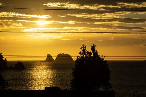 Photo of property in 103 Wharekaho Sh25 Road, Wharekaho, Whitianga, 3592