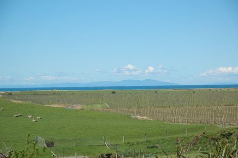 Photo of property in 299 Reserve Road, Seddon, 7285