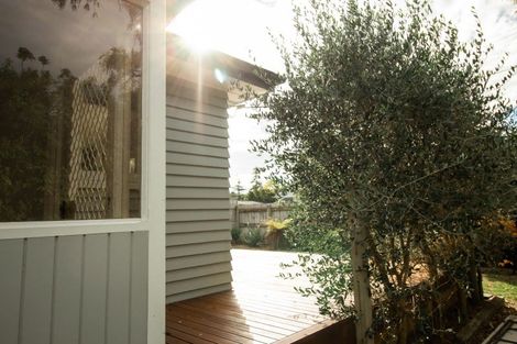 Photo of property in 51 Lincoln Street, Ashhurst, 4810