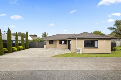Photo of property in 13 Lieshout Way, Pukekohe, 2120