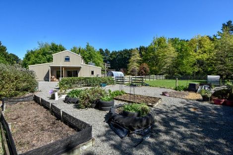 Photo of property in 142 Norfolk Road, Waingawa, Carterton, 5791