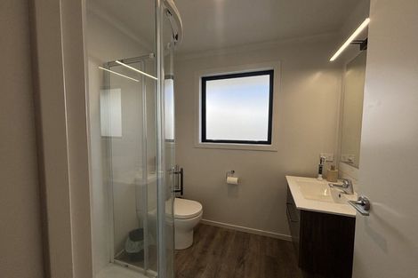 Photo of property in 24 Chertsey Street, Richmond, 7020