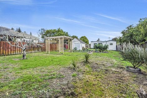 Photo of property in 216 Fox Street, Hamilton East, Hamilton, 3216