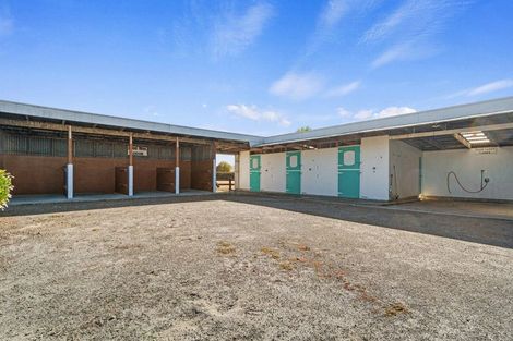 Photo of property in 86 Saint Kilda Road, Cambridge, 3493