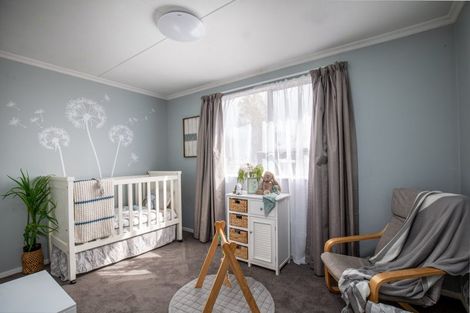 Photo of property in 21 Antimony Crescent, Cromwell, 9310