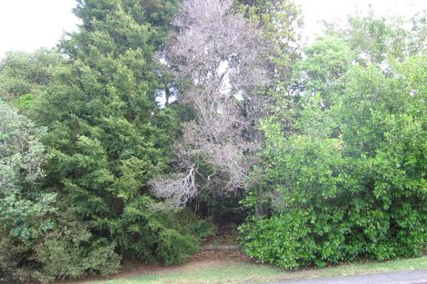 Photo of property in 15 Fitzwater Place, Henderson, Auckland, 0612