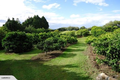 Photo of property in 351 Hill Street, Richmond, 7020