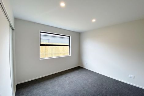 Photo of property in 4 Sedge Street, Belfast, Christchurch, 8051