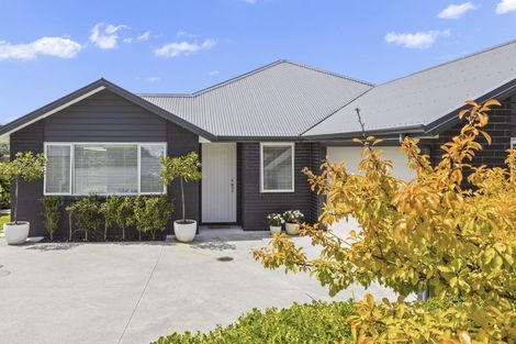 Photo of property in 27 Belvedere Place, Warkworth, 0910